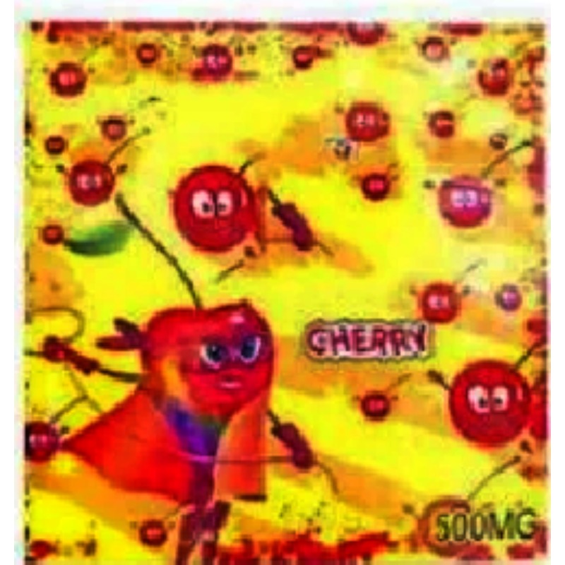 500 Milligrams-Plastic Ziplock - огляд і ціна Women Bags Under 500